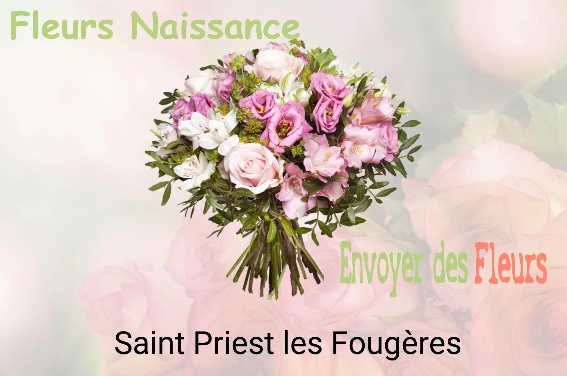 Bouquet de fleurs de naissance livré à Saint-Priest-les-Fougères